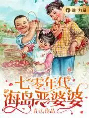 七零年代恶婆婆 小说