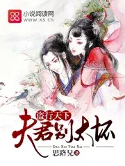 《盗妃倾天下:夫君猛如虎》