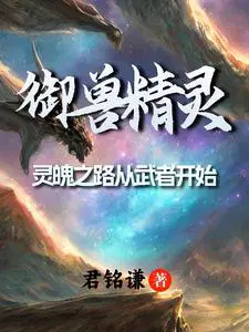 艾琳契约神魄摆放