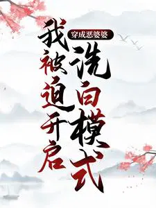 这本小说有吗?