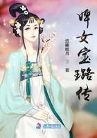 婢女宝璐传