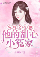 高岭之花与小妖精