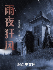 雨夜狂魔国语未删减版