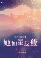 她似星辰 小说