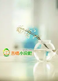 婚情薄   总裁的虐妻