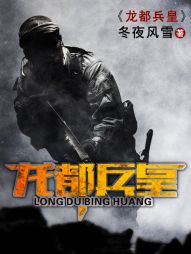 龙都兵皇免费阅读完整版