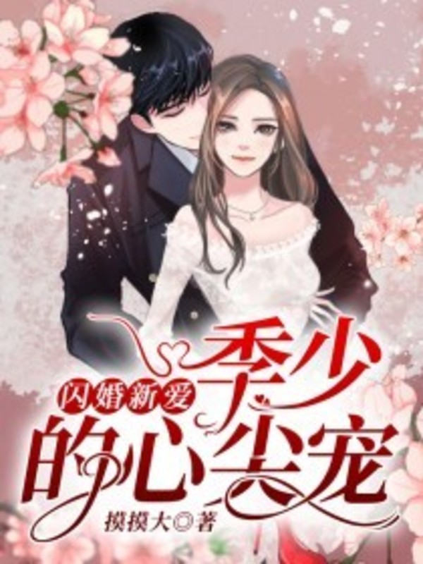 闪婚新妻总裁的心尖宠完整版