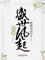 盛世：风起微澜