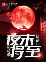 夜晚将至什么意思