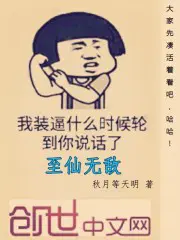 至尊无敌小说