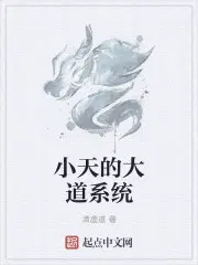 小天的大道系统