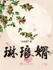 琳琅婿