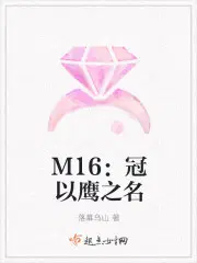 M16：冠以鹰之名