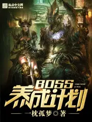 boss养成指南