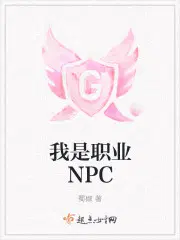 全能职业npc