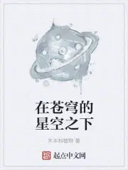 在苍穹的星空之下