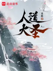 陆叶小说