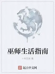 巫师生活实录小说