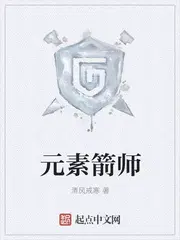 元素箭师小说全文在线免费看