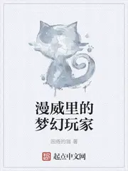 漫威里的梦幻玩家 小说