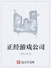 休闲游戏公司