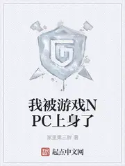 我被游戏NPC上身了