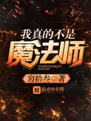 我真的不是魔法师免费在线阅读