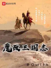 魔改三国志姜维传