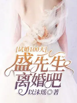 试婚100天：盛先生,离婚吧