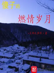 傻子的燃情岁月