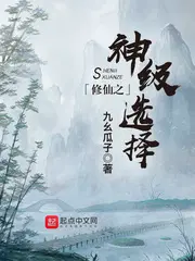 洪荒之门小说