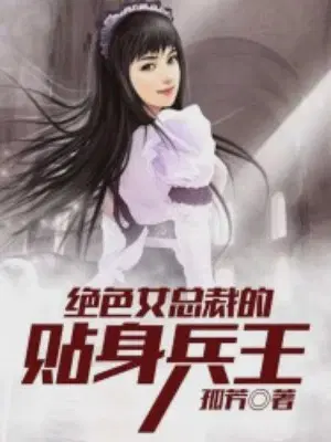 女总裁的贴身兵王