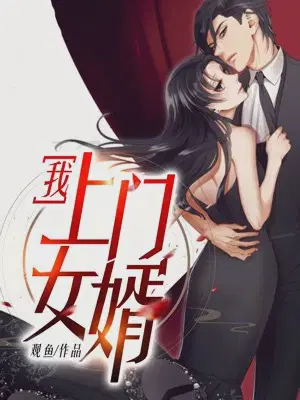 上门女婿林辰完整版