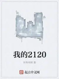 我的2120