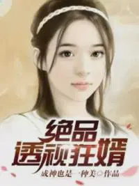 绝品透视狂婿