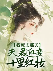 夫君迎妾十里红妆 作者:呦呦鹿鸣