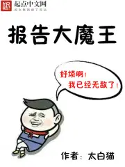 报告大元帅