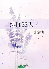 绯闻三十三天完结