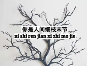 你是人间细枝末节刘悦明季傳