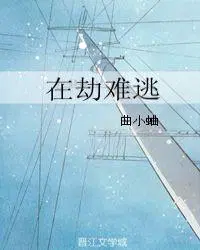 在劫难逃2011电影免费观看完整版