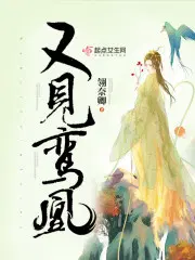 又见鸾凰