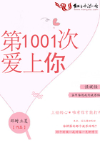 第1001次爱上你