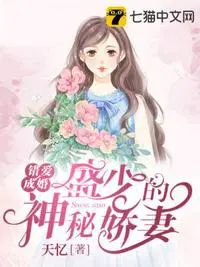 贺少的闪婚暖妻